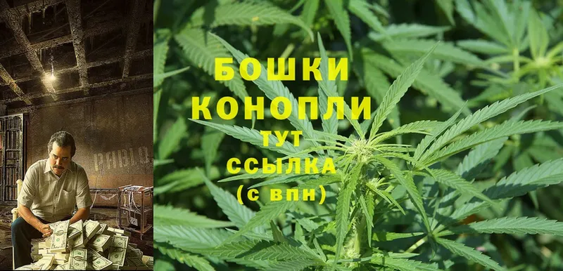 shop какой сайт  купить  цена  Костерёво  Бошки марихуана SATIVA & INDICA 